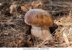 农产品质量管控服务