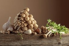 食用菌市场渠道供应